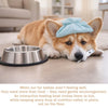 Anti Choking Slow Feeder Dog Bowl