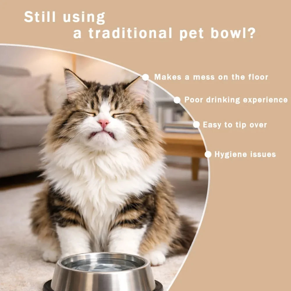 Anti Choking Slow Feeder Dog Bowl